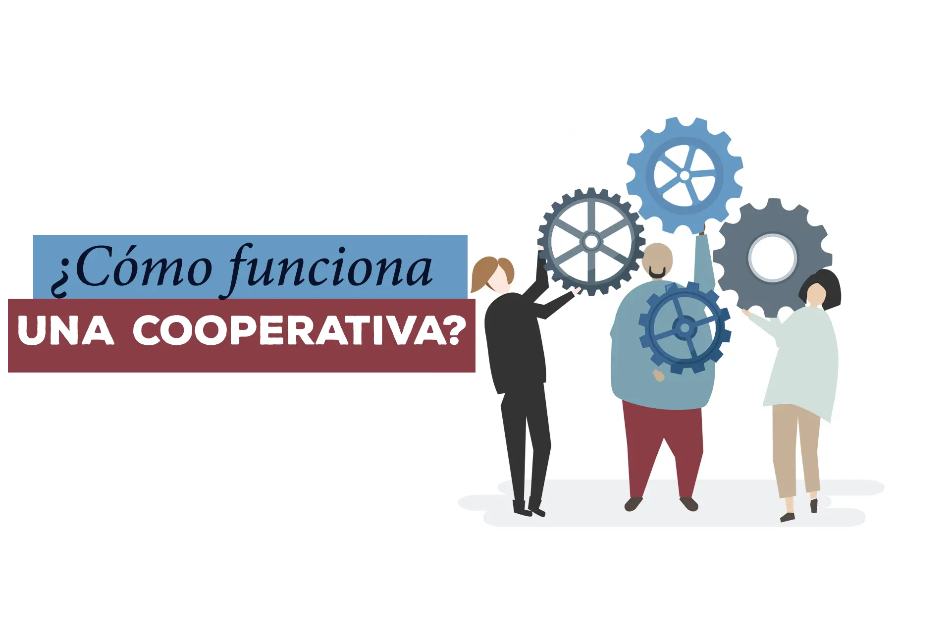 como funcionan la administracion y fiscalizacion de una cooperativa - Cómo es la organización administrativa de una cooperativa