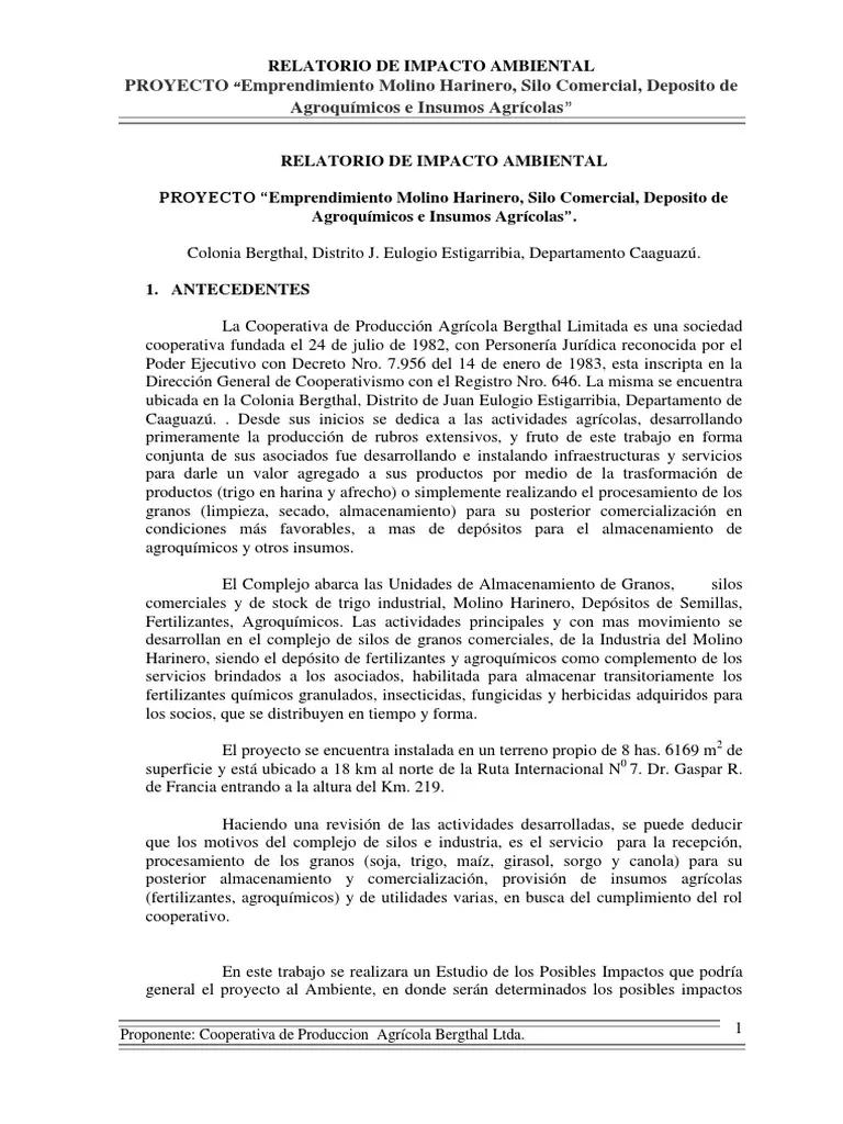 auditoria ambiental de un molino de trigo - Cómo funciona un molino de trigo