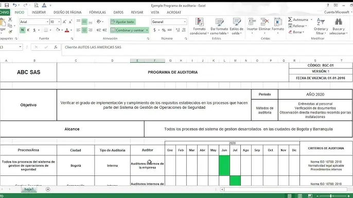 ejemplo de programa de auditoria por procesos excel - Cómo hacer auditoría en Excel