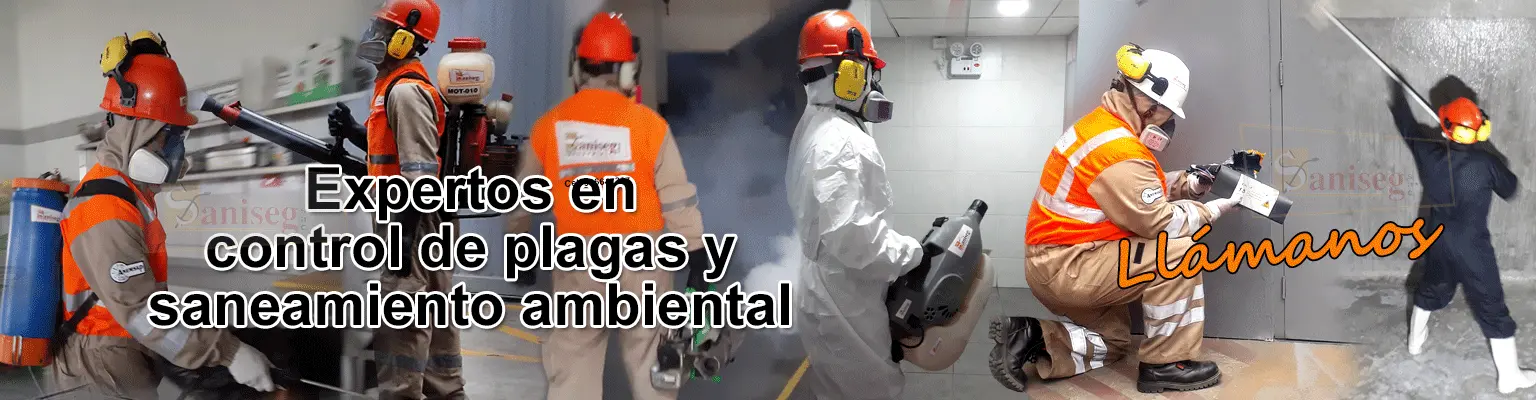 organismo de fiscalizacion fumigacion y desinfeccion - Cómo sacar permiso para fumigar