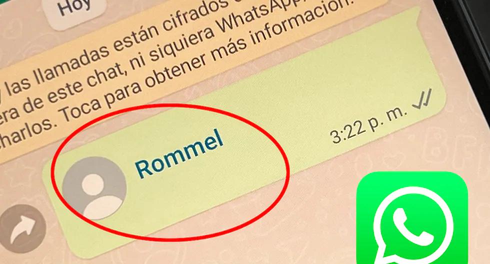 app auditar whatsapp - Cómo se hace para saber cómo te tienen registrado en WhatsApp