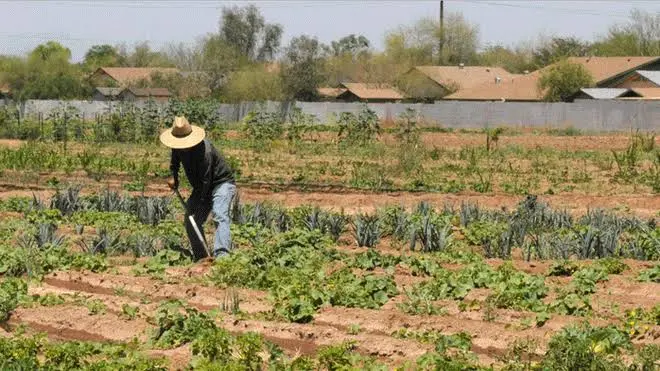 ministerio de asuntos agrarios fiscalizacion - Cómo se llama Ministerio de Agricultura