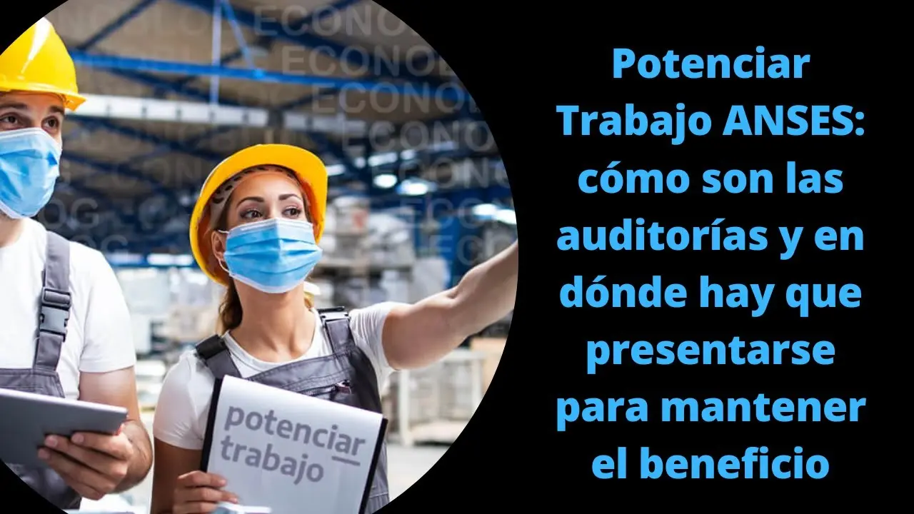 auditoria anses - Cómo ver mis activos financieros en Anses