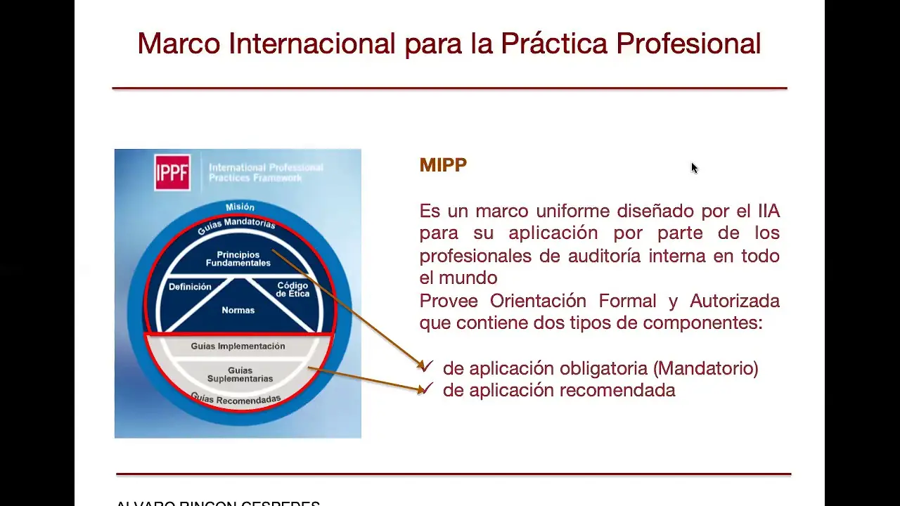 auditor interno marco profesional - Cuál debe ser el ejercicio profesional del auditor interno