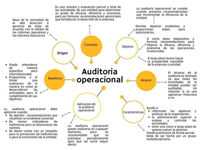 alcance de la auditoria en operaciones extraordinarias - Cuál es el alcance de la auditoría de operaciones