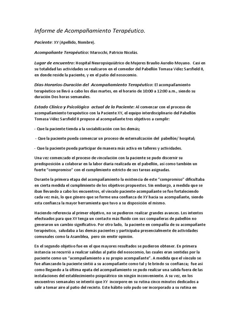 modelo de informe de auditoria acompañante terapeutico - Cuál es el objetivo principal de un acompañante terapéutico