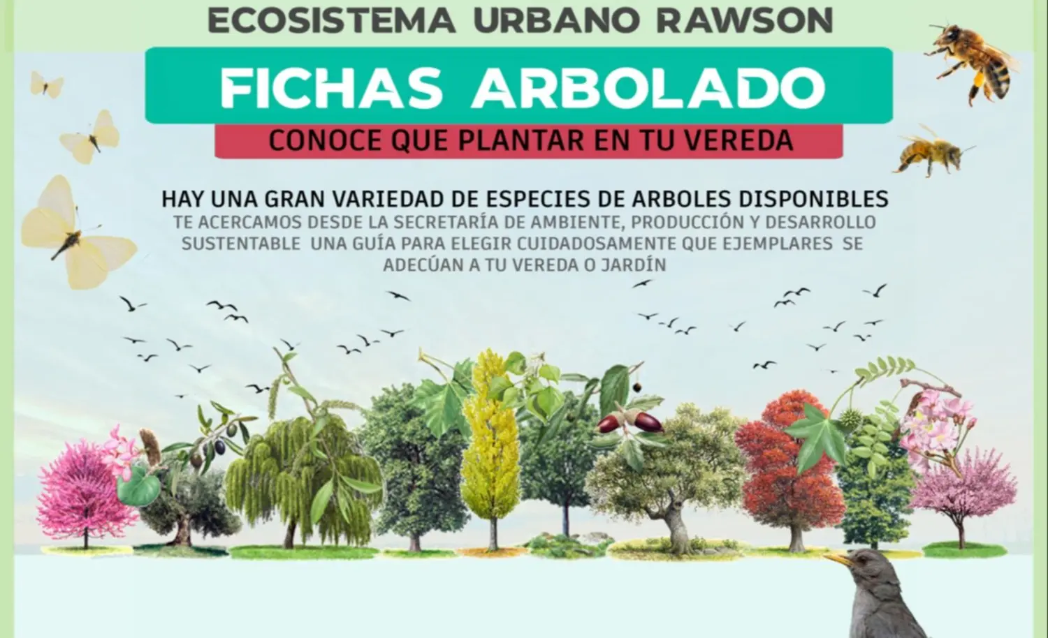 direccion general de fiscalizacion area de flora y fauna - Cuál es la flora de la provincia de Buenos Aires