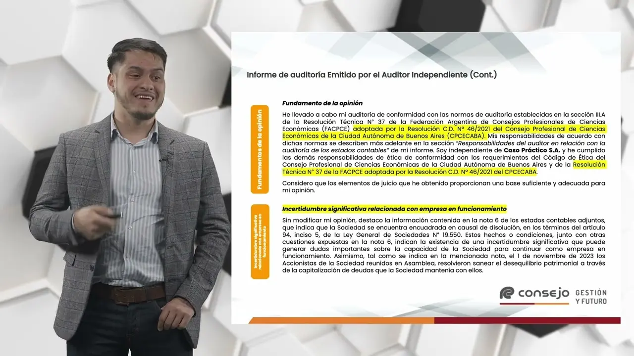 informe del auditor independiente consejo neuquen - Cuál es la NIA 700