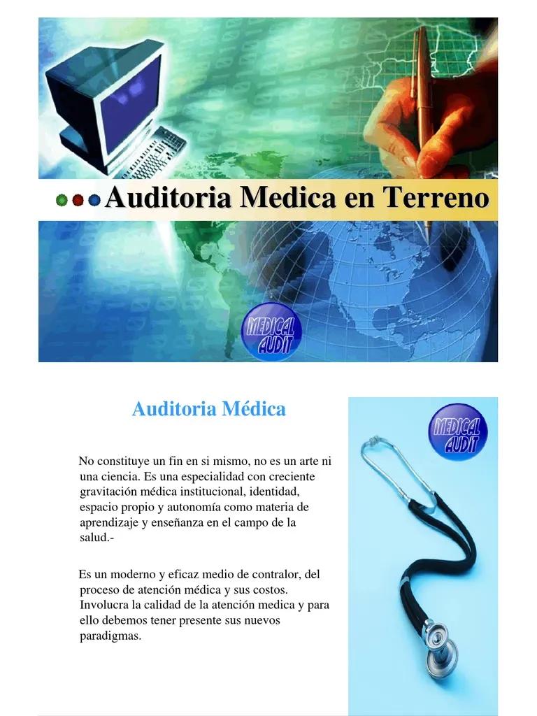 auditoria de terrrreno teoria - Cuál es la teoría de la auditoría