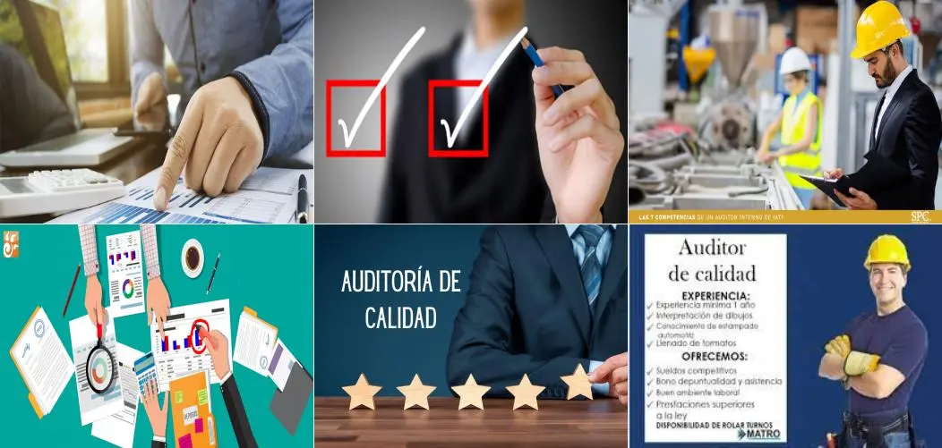 funciones de un auditor adjunto de calidad - Cuáles son las funciones de un Encargado de calidad