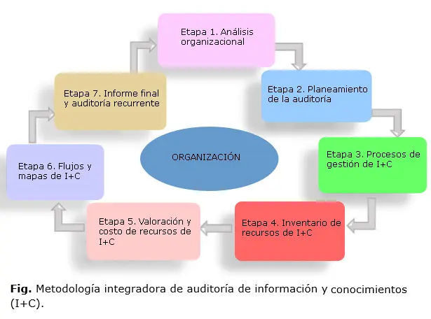 metodologia de auditoria ejemplo - Cuáles son las metodologias de auditoría interna
