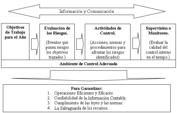normas de auditoria y control interno vigentes en la argentina - Cuáles son las normas basicas de control interno