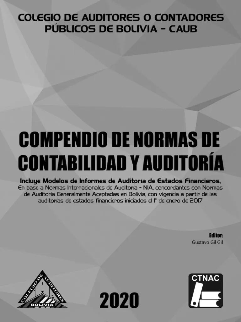 compendio de normas internacionales de auditoria - Cuáles son las Normas Internacionales de auditoría vigentes