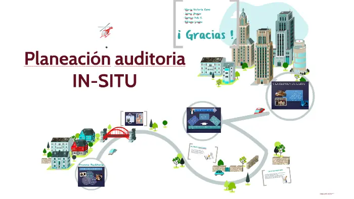 in situ auditoria in loco - Cuáles son las visitas in situ