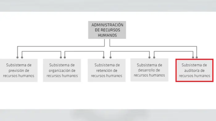 subsistemas de auditoria administracion de rrhh - Cuáles son los 5 subsistemas de la administración de recursos humanos