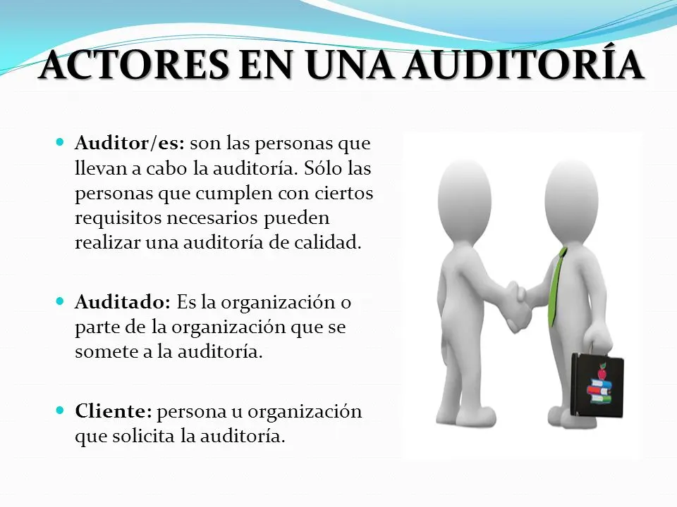 actoeres de la auditoria de gestion - Cuáles son los actores del control interno