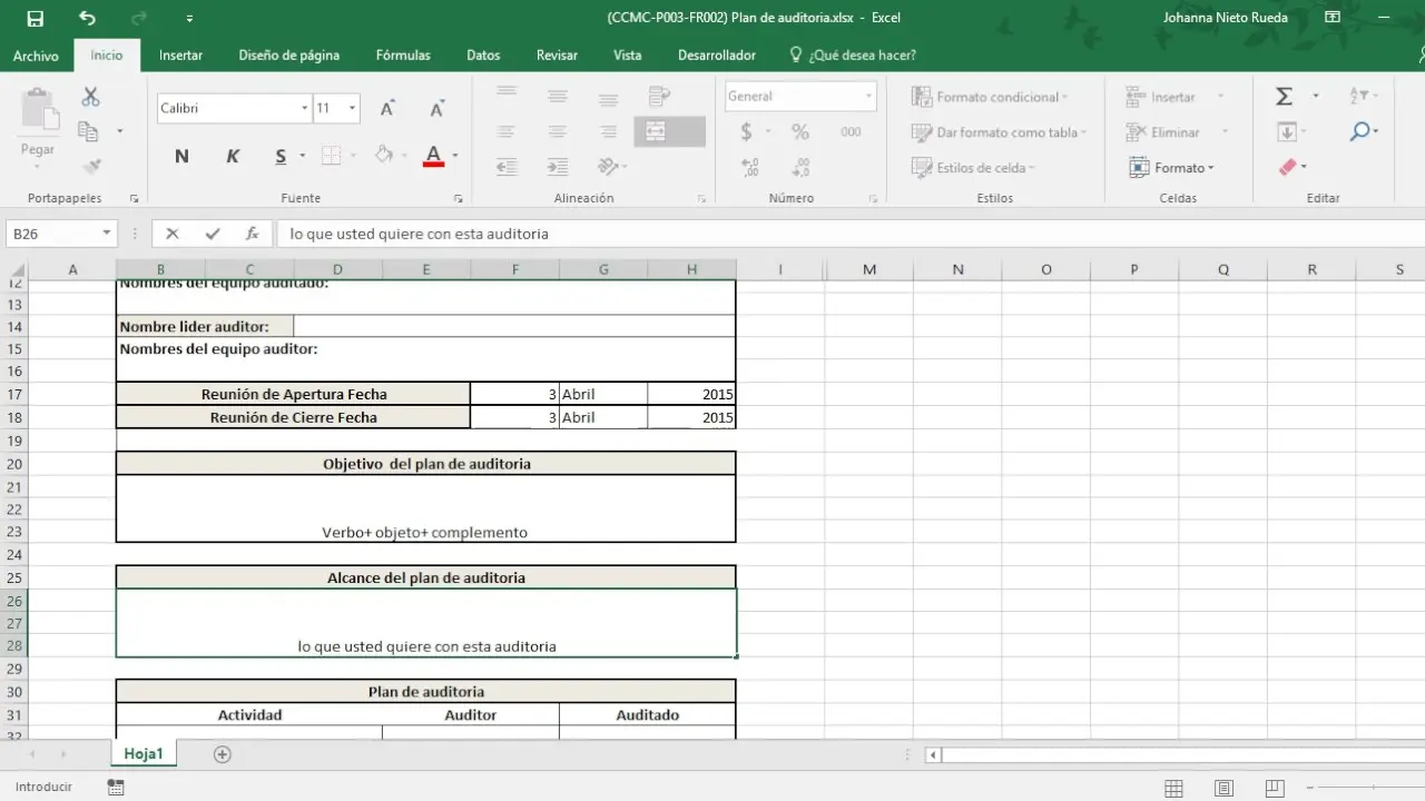 formatos que utiliza el auditor - Cuáles son los archivos de auditoría