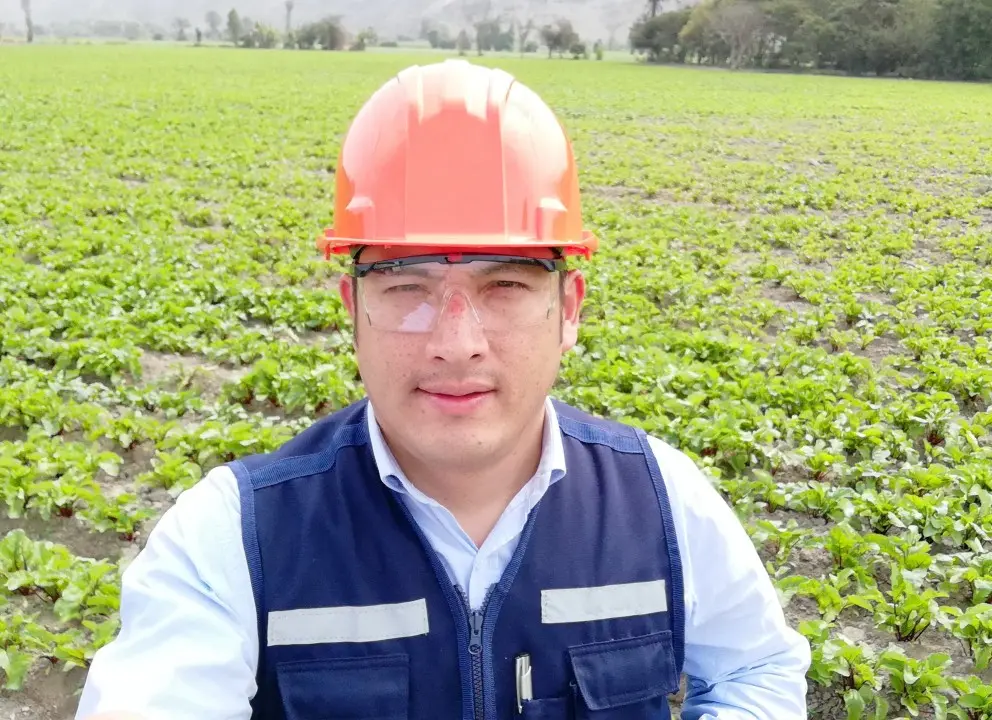 nuevo auditor agroindustria - Cuáles son los principales agroindustrias de la Argentina
