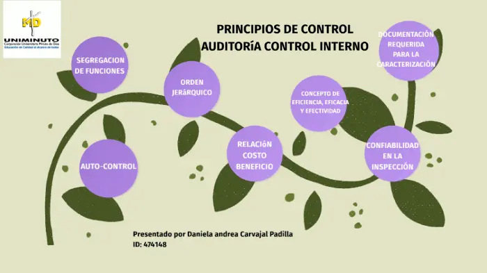 control interno auditoria principios - Cuáles son los principios de control
