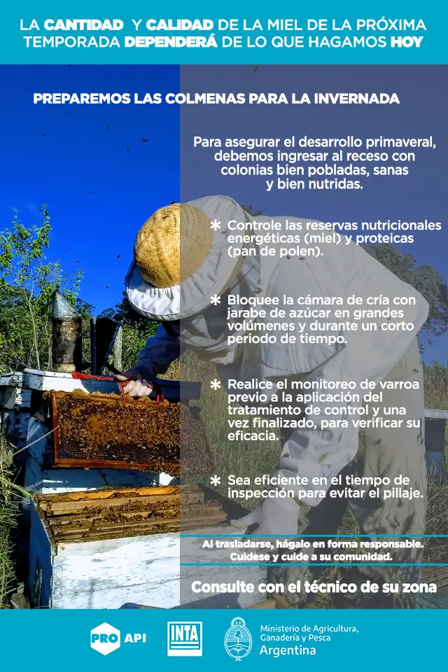 el rol del auditor externo en la apicultura argentina - Cuántas colmenas se necesitan para vivir de la apicultura en Argentina