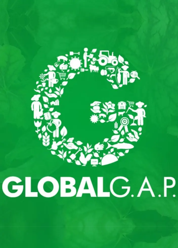 curso de auditor global gap neuquen - Cuánto dura la certificación Global GAP