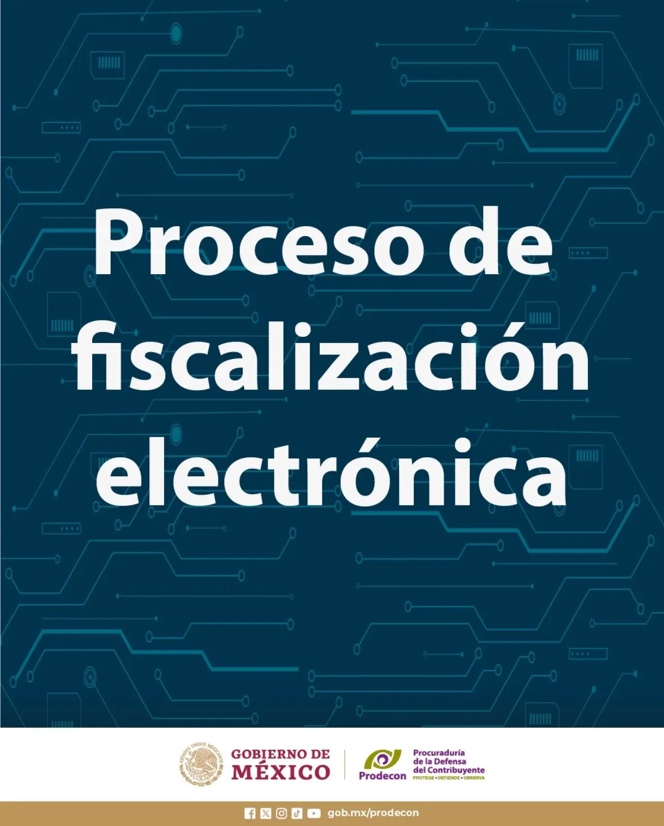 fiscalizacion electronica en mexico - Cuánto dura la revision electrónica