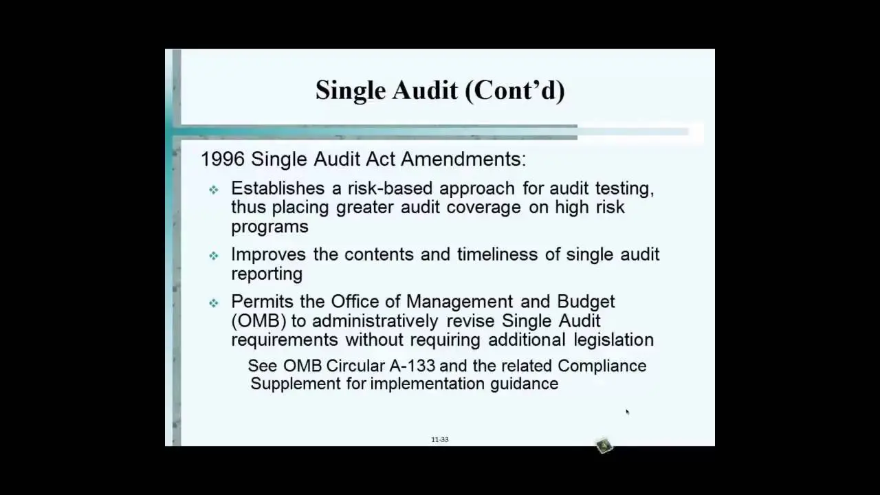 single auditor - Cuánto tiempo lleva una sola auditoría