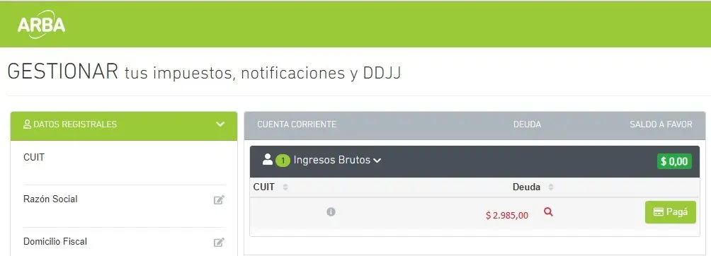 auditor debe exponer la deuda con arba - Cuántos años tienen que pasar para que caduque una deuda en ARBA