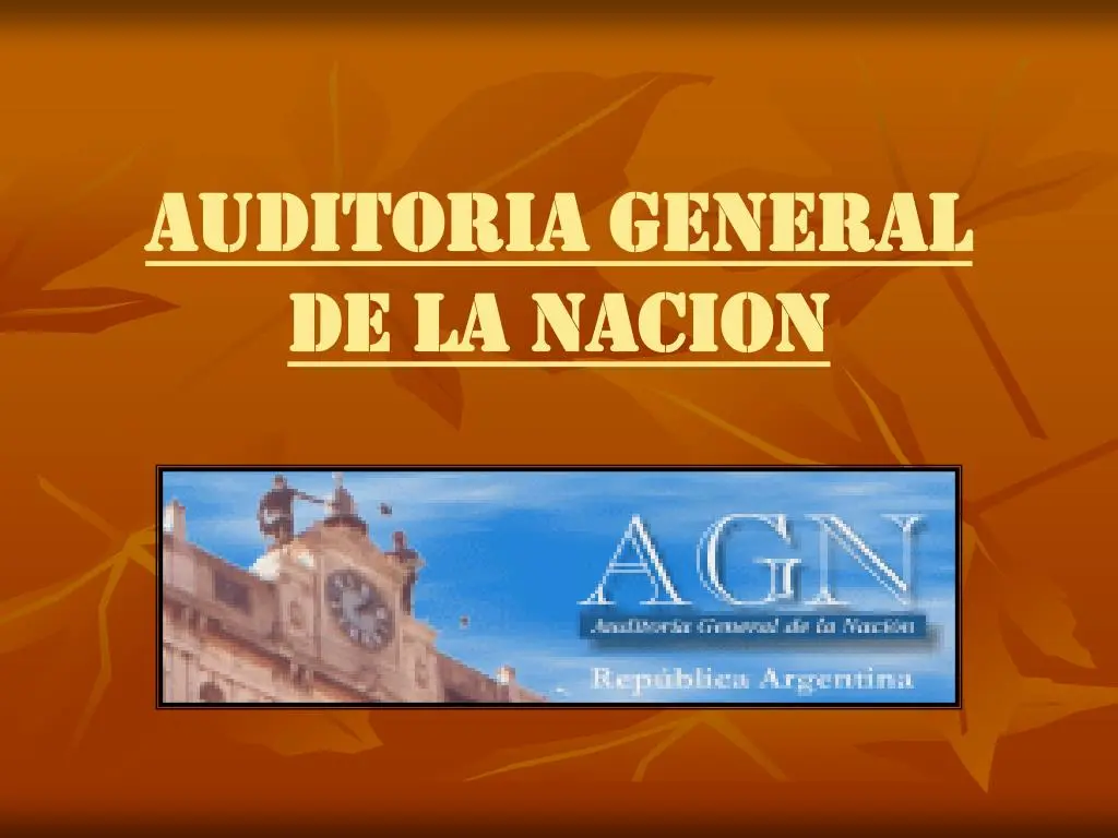 auditor del tesoro de la nacion - Dónde está el tesoro argentino