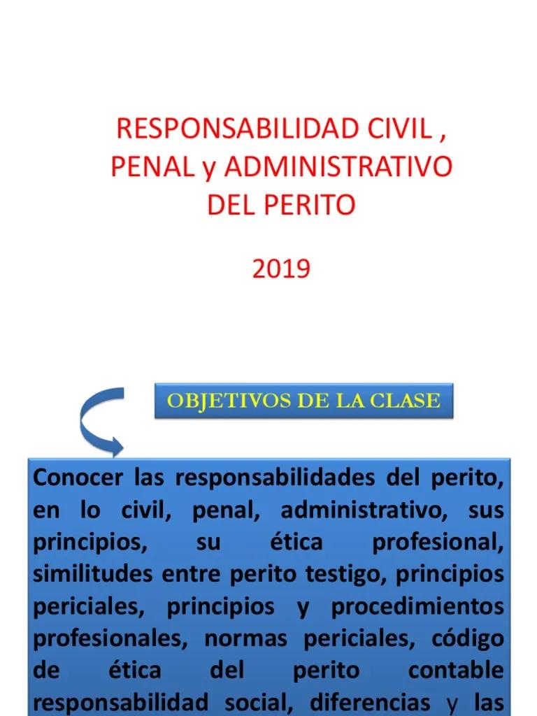 resolucion impide auditar peritos - Dónde está regulada la actuacion de los peritos