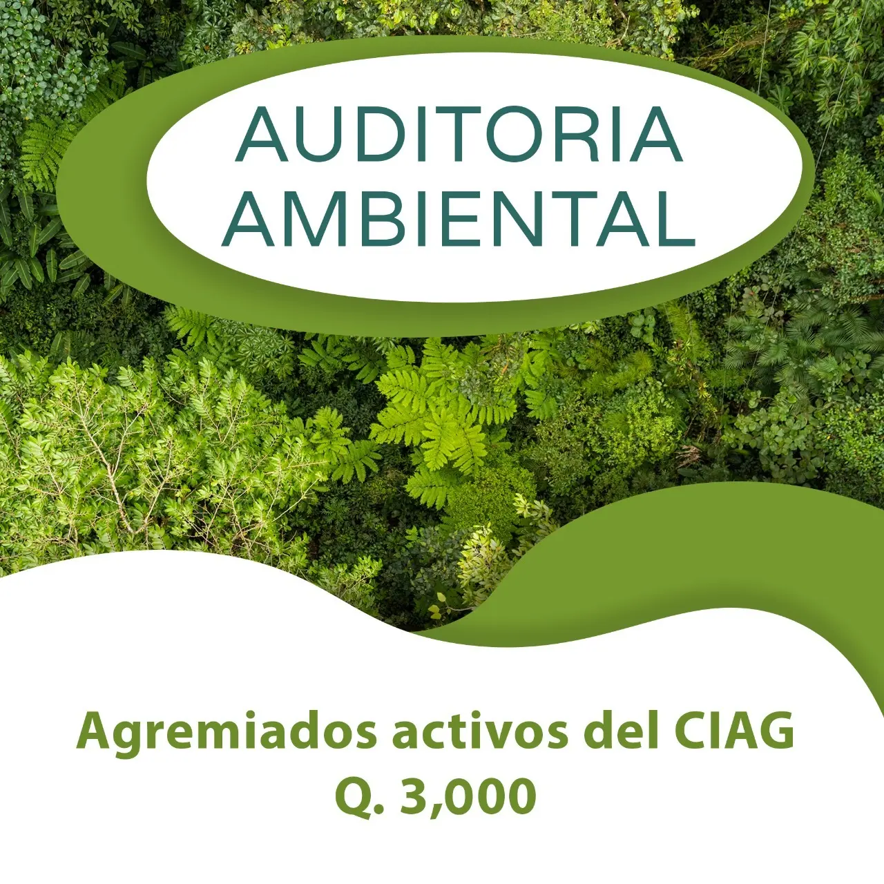 auditoria ambiental diplomado argentina - Dónde se estudia Gestión Ambiental en Argentina