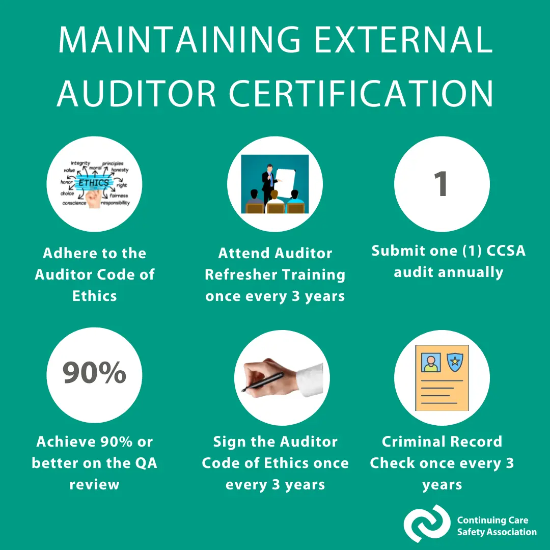 external auditor training - How do I prepare for external auditors