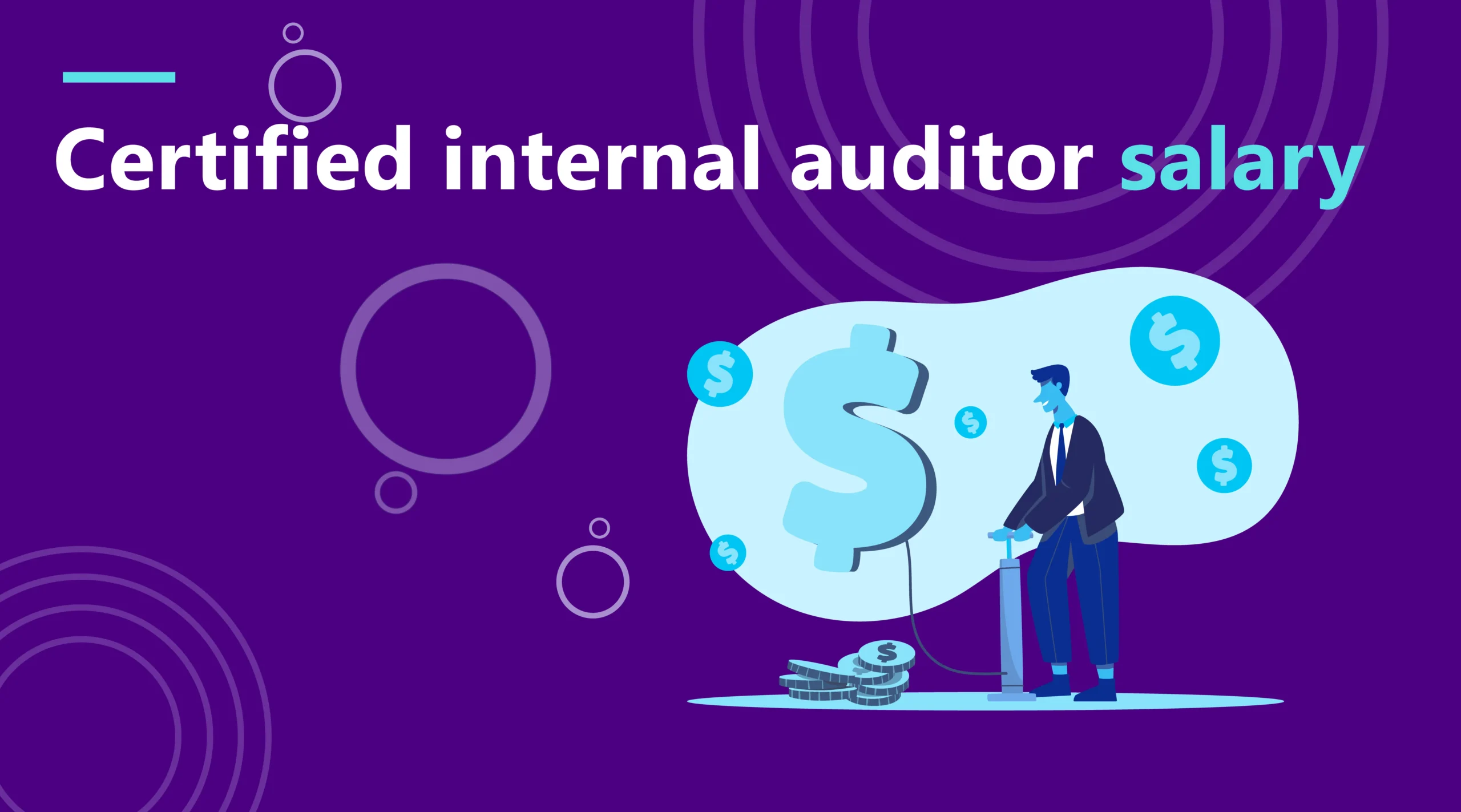certified internal auditor salary - How much does a certified internal auditor make in the US