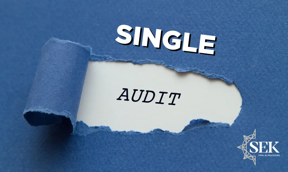 single auditor - Por qué se llama auditoría única