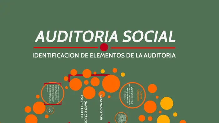 trabajo social y auditoria social - Qué analiza una trabajadora social