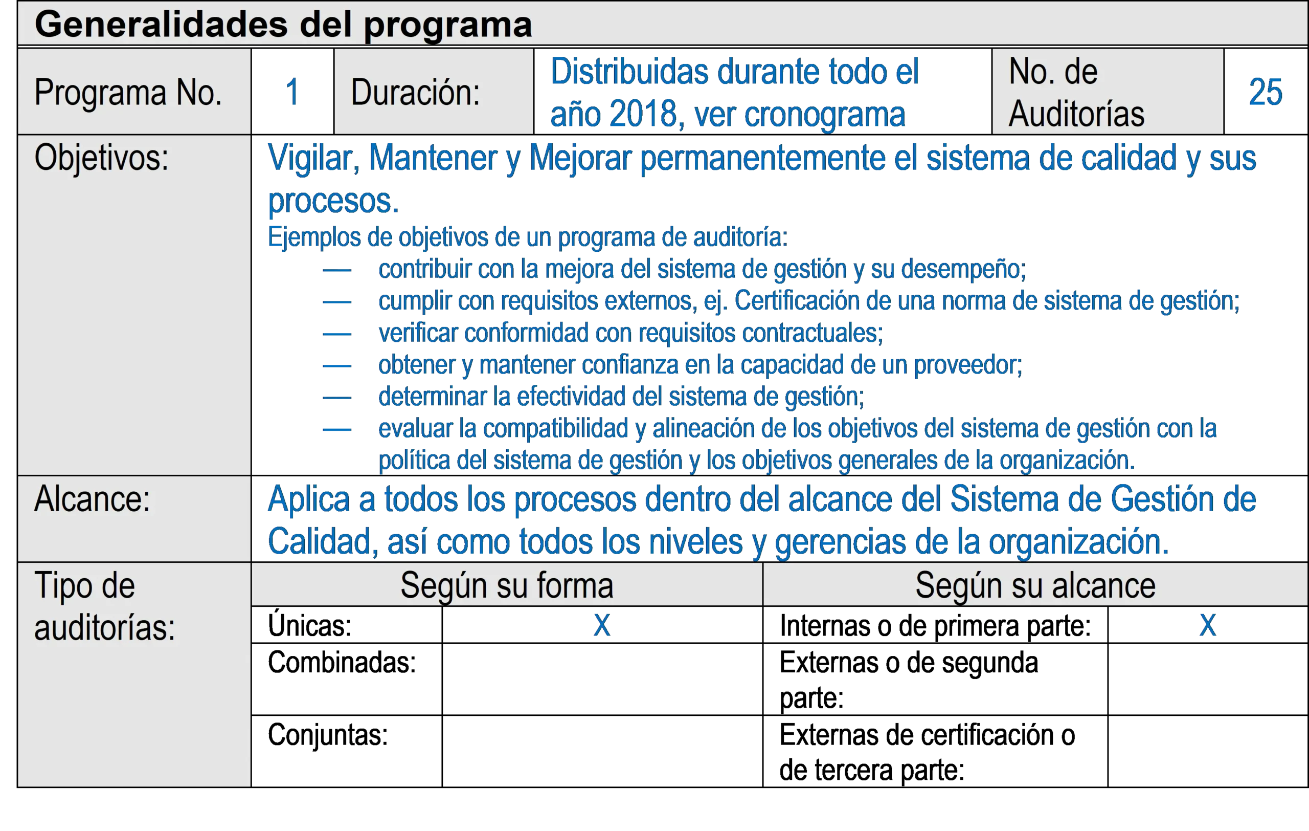 coma hacer un programa de auditoria - Qué debe tener un programa de auditoría interna