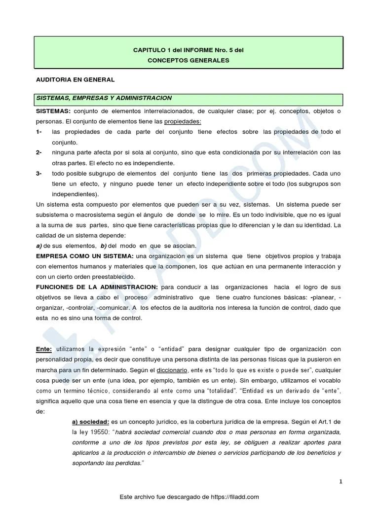 fowler newton informe del auditor - Qué dice Fowler Newton sobre la contabilidad