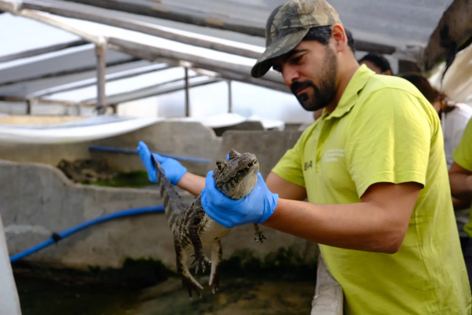 fiscalizacion animales argentina - Qué dice la ley 14346 argentina