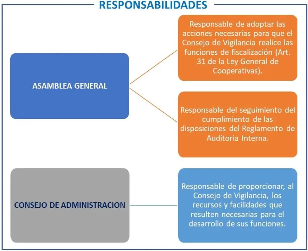 auditoria en cooperativas ley - Qué dice la ley 20337 sobre las cooperativas de trabajo
