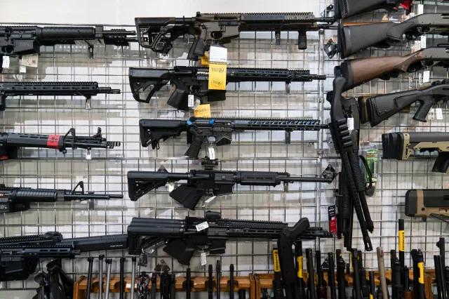 auditoria compra de armas - Qué diferencia hay entre tenencia y portación de Armas