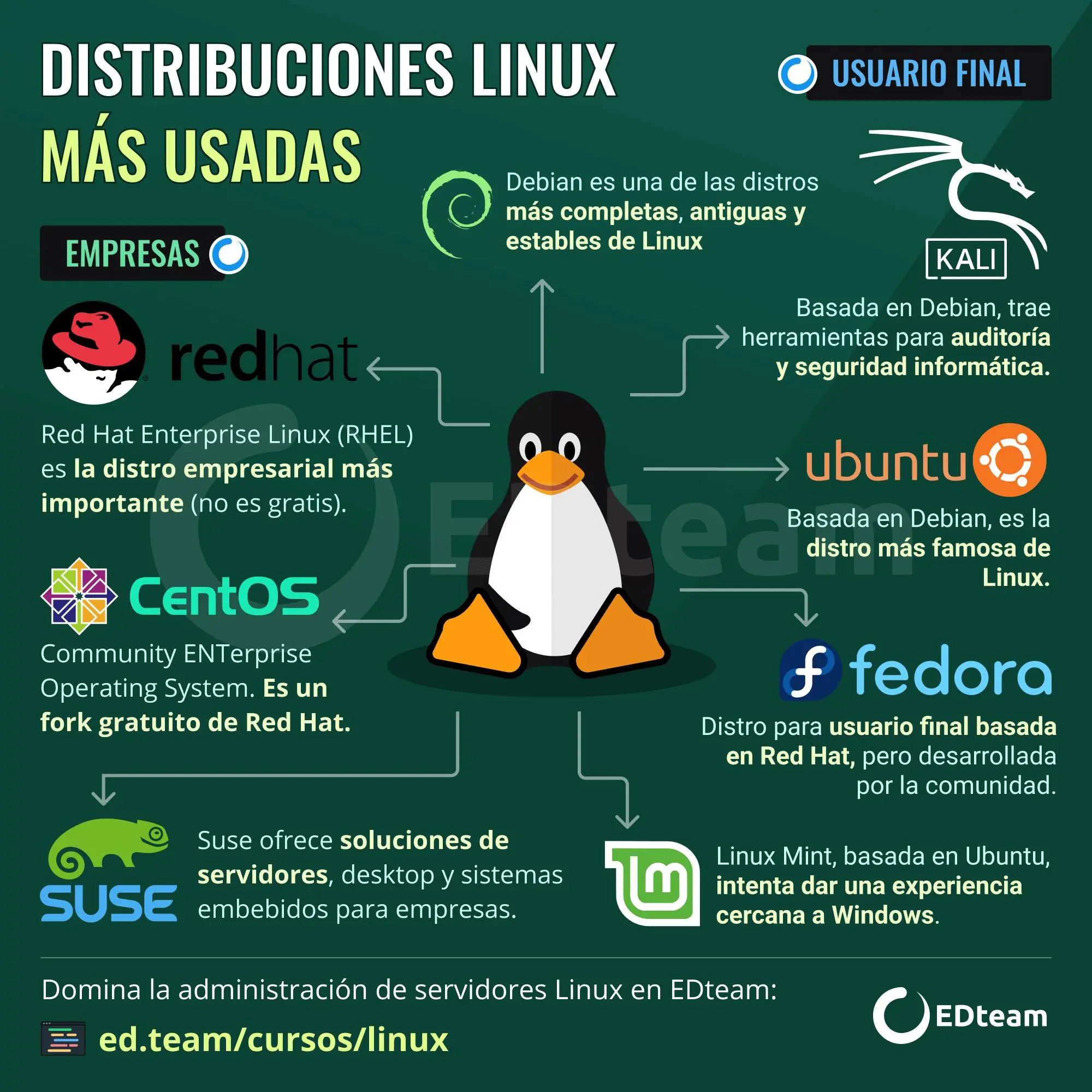 distribucion de linux para auditoria de redes - Qué distribución de Linux usar para servidores