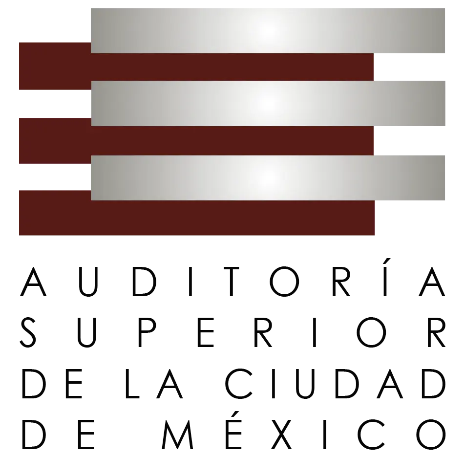 auditoria de la cuidad de mexico - Qué empresas se auditan en México