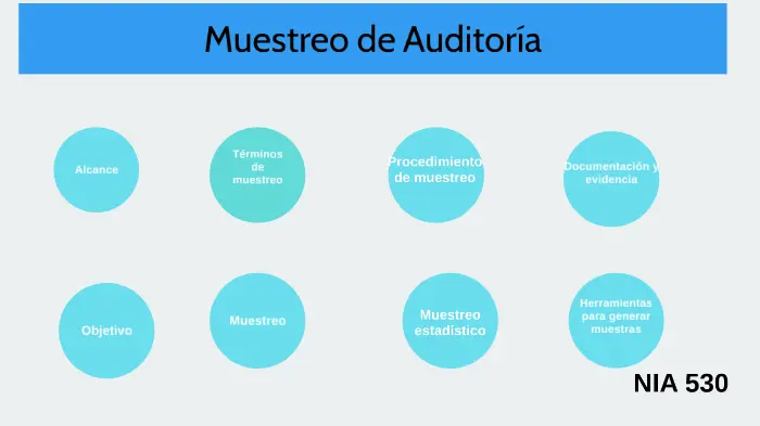 caracteristicas de la muestra de auditoria - Qué es características de la muestra