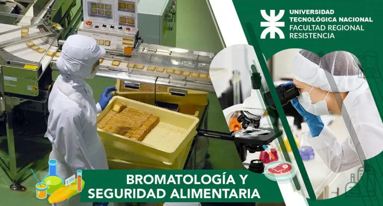 cursos auditor bromatologia senasa - Qué es el curso de Bromatologia