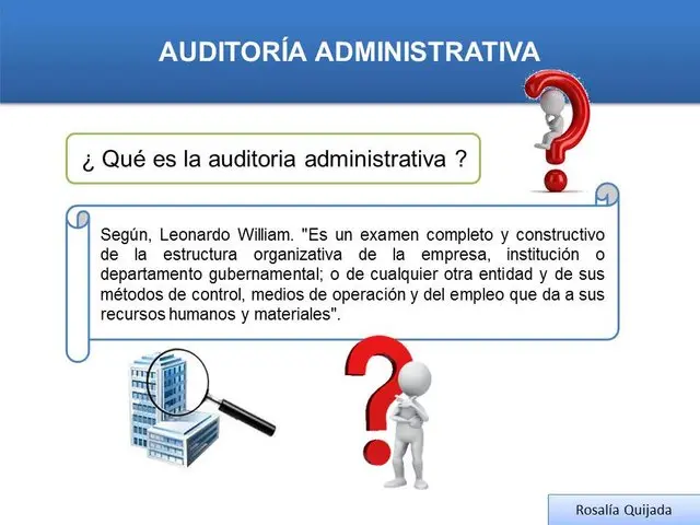 en que consiste una auditoria administrativa - Qué es el examen dentro de una auditoría administrativa