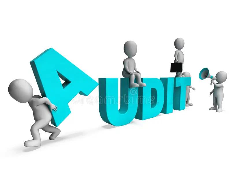 auditar - Qué es el significado de audicionar