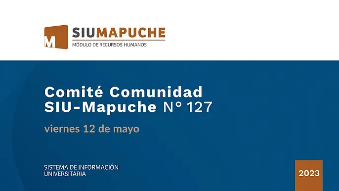 siu.edu.ar auditoria mapuche - Qué es el sistema mapuche