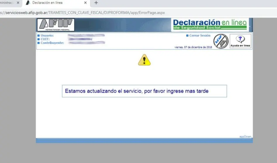 hubo un error en la aplicación al auditar afip - Qué es error interno 100 en AFIP