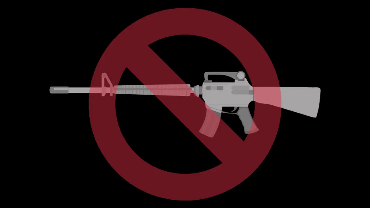 control y fiscalizacion de armas de fuego - Qué es inspección de seguridad de las armas de fuego