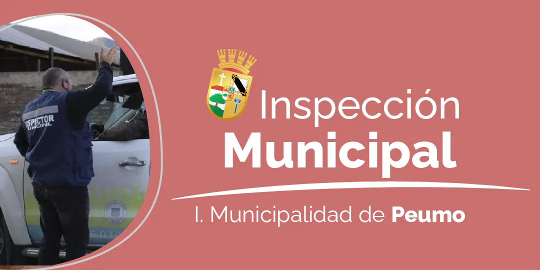 inspeccion y fiscalizacion municipal - Qué es la inspeccion municipal